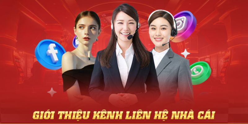 liên hệ